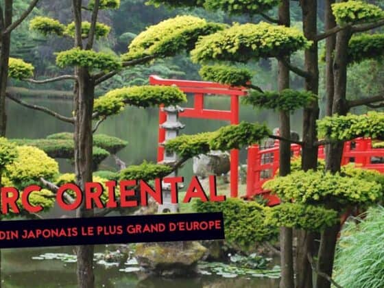 le plus grand jardin japonais d'Europe parc oriental de maulevrier 3
