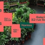 grande vente de plantes le gout des plantes nantes