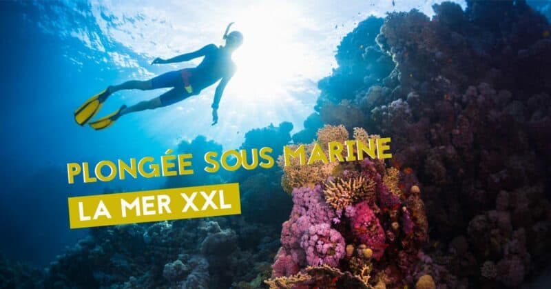 la mer xxl plongee sous marien exposition nantes 2019