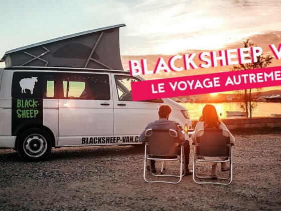 blacksheep van voyage
