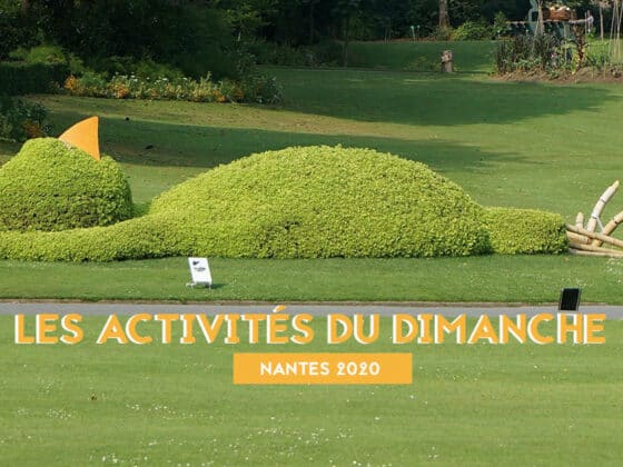 LES ACTIVITES DU DIMANCHE NANTES 2020