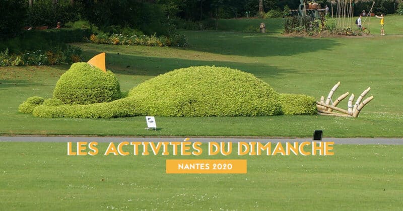 LES ACTIVITES DU DIMANCHE NANTES 2020