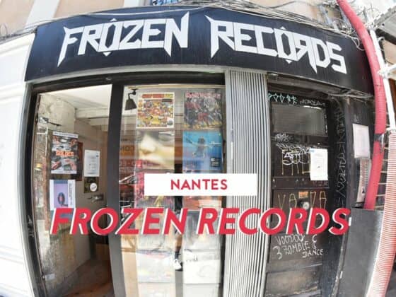 frozen records disquaire nantes 5