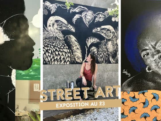 expo street art le 23 nantes 2020 7