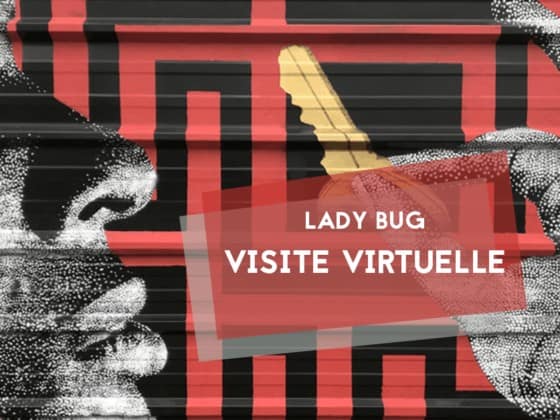 lady-bug-visite-virtuelle-exposition-nantes