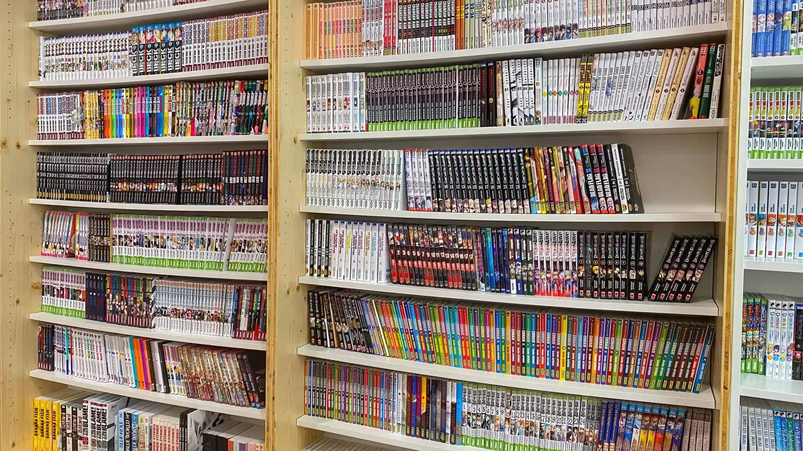 Nantes : une librairie spécialisée dans le manga s'est installée en plein  centre-ville ! – Big City Life