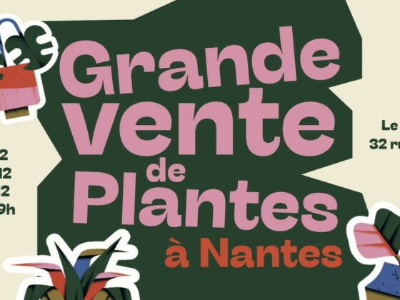 Vente de plantes Nantes