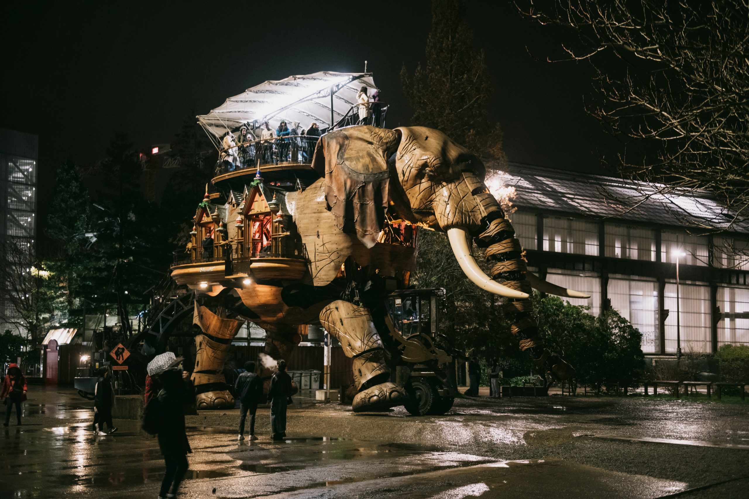 Nocturne-Le-Grand-Elephant-Les-Machines-de-lile-©-David-Gallard-_-LVAN-2-scaled